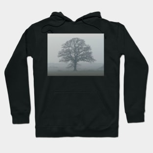 Oak Tree Hoodie